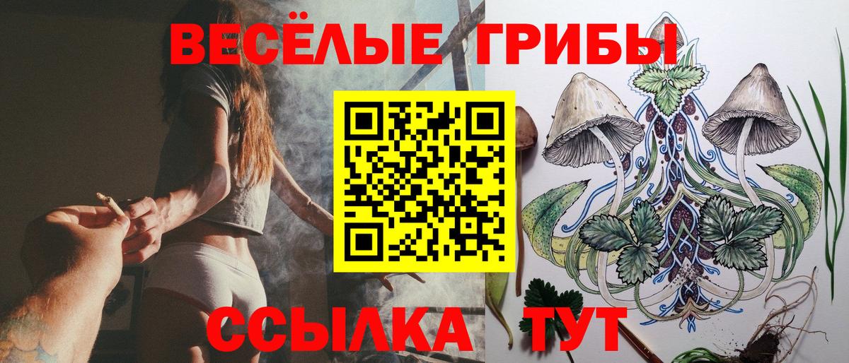 купить наркотик  Вход с VPN  Барнаул  Галлюциногенные грибы прущие грибы 