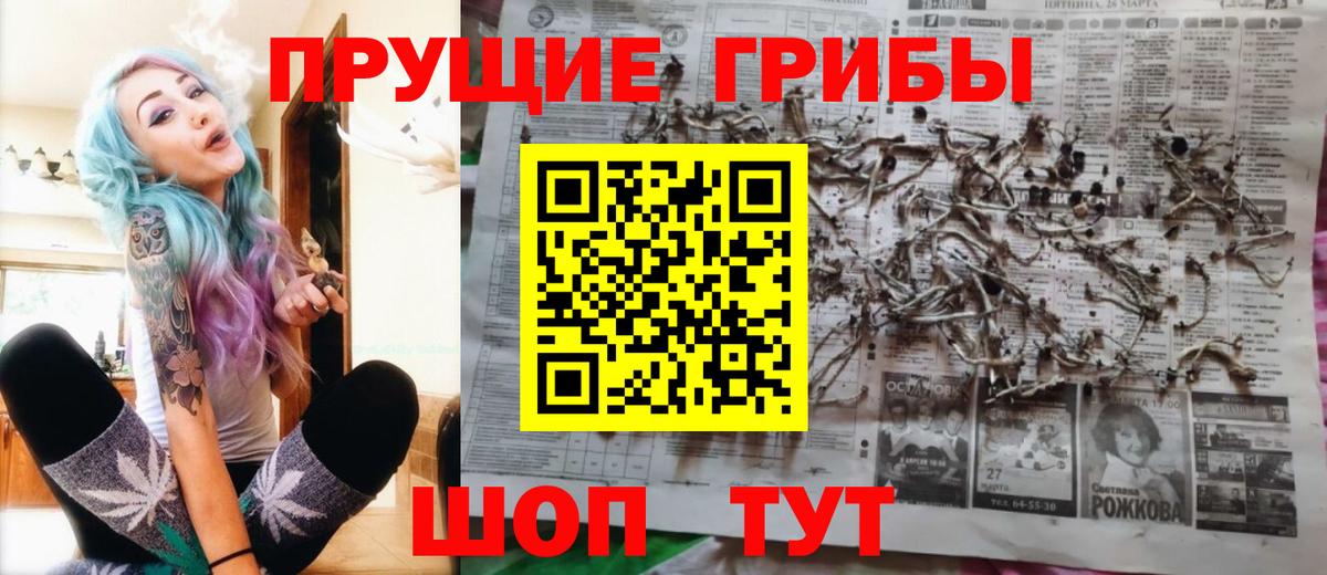 Галлюциногенные грибы Psilocybine cubensis Барнаул